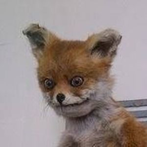 Meet your Posher, Clair